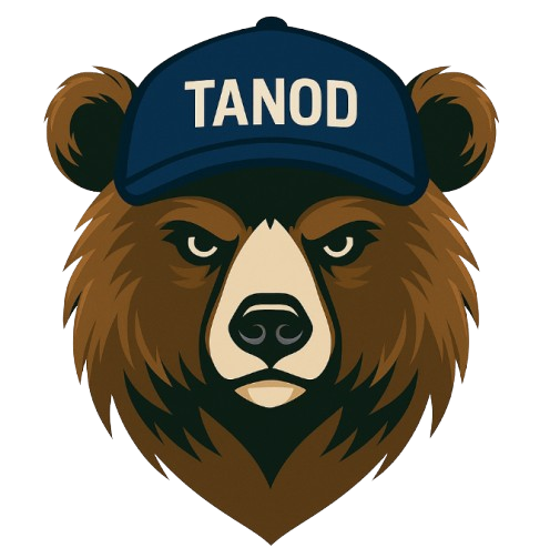 BEAR Logo